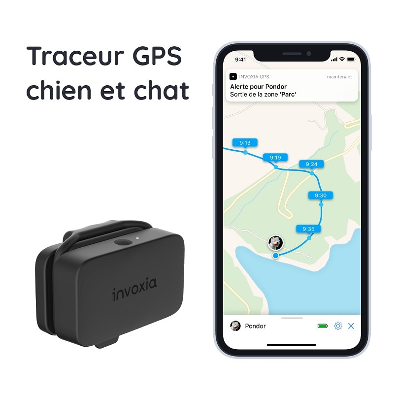 Traceur GPS Chien Chat Waterproof Collier Localisation Micro